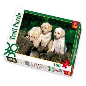 Trefl (15157) - "Little Labradors" - 160 brikker puslespil