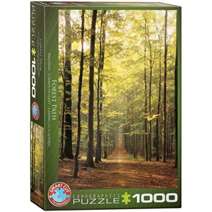 Eurographics (6000-3846) - "Skov Sti" - 1000 brikker puslespil