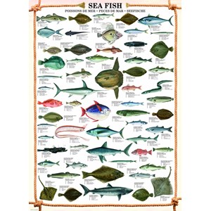 Eurographics (6000-0313) - "Sea Fish" - 1000 brikker puslespil