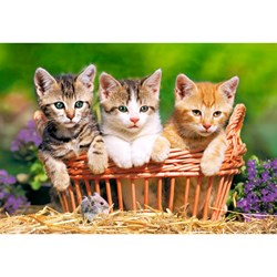 Castorland (B-021116) - "Kittens into the garden" - 165 300 brikker puslespil
