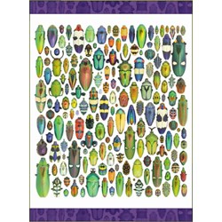 Pomegranate (AA286) - Christopher Marley: "Exquisite Creatures" - 1000 brikker puslespil