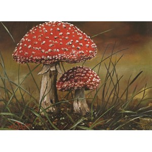 PuzzelMan (236) - Nico Bulder: "Mushrooms" - 99 brikker puslespil