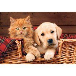 Trefl (15270) - "Better Together" - 160 brikker puslespil