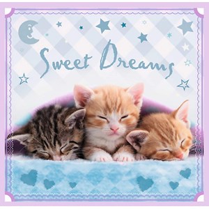 Trefl (34809) - "Kittens" - 20 36 50 brikker puslespil