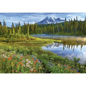 Educa (16309) - "Mount Rainier National Park" - 1500 brikker puslespil
