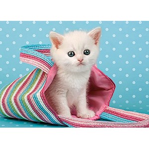 Castorland (B-010172) - "White Cat in Bag" - 108 brikker puslespil