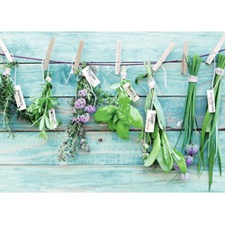 Ravensburger (19612) - "Herb Garden" - 1000 brikker puslespil