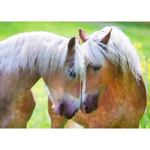 Ravensburger (19485) - "Intimate Moment" - 1000 brikker puslespil