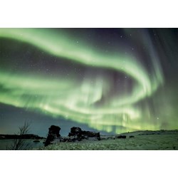 Educa (16308) - "Winter Paradise" - 1500 brikker puslespil