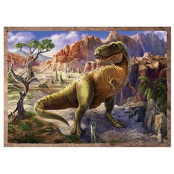 Trefl (34249) - "Dinosaurs" - 35 48 54 70 brikker puslespil