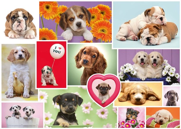 Schmidt Spiele (58231) - "Friends on four paws" - 1000 brikker puslespil