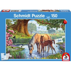 Schmidt Spiele (56161) - "Horses" - 150 brikker puslespil