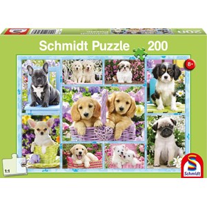 Schmidt Spiele (56162) - "Puppies" - 200 brikker puslespil