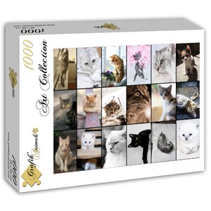 Grafika (T-00100) - "Collage, Cats" - 1000 brikker puslespil