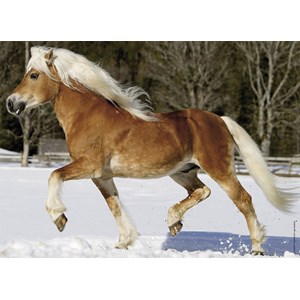 Nathan (86733) - "Horse" - 100 brikker puslespil