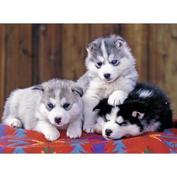 Ravensburger (12823) - "Huskies" - 200 brikker puslespil
