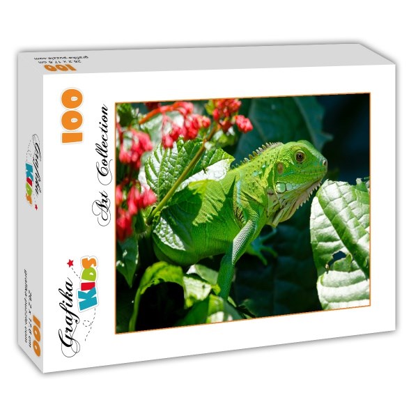 Grafika Kids (00511) - "Iguana" - 100 brikker puslespil
