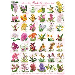 Eurographics (6000-0655) - "Orchids" - 1000 brikker puslespil