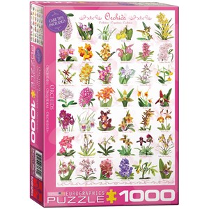 Eurographics (6000-0655) - "Orchids" - 1000 brikker puslespil