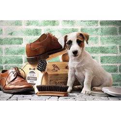 Tactic (53339) - "The Little Shoe-Shine" - 500 brikker puslespil