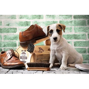 Tactic (53339) - "The Little Shoe-Shine" - 500 brikker puslespil