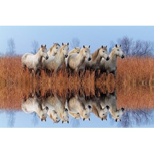 Tactic (53340) - "Horses" - 500 brikker puslespil