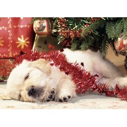 Ravensburger (07546) - "Christmas Puppy" - 80 brikker puslespil
