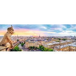 Trefl (29029) - "View from the Cathedral of Notre-Dame de Paris" - 1000 brikker puslespil