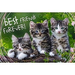 Trefl (13215) - "Best Friends Forever" - 260 brikker puslespil