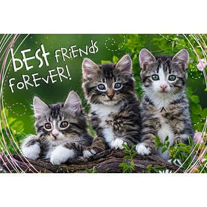 Trefl (13215) - "Best Friends Forever" - 260 brikker puslespil