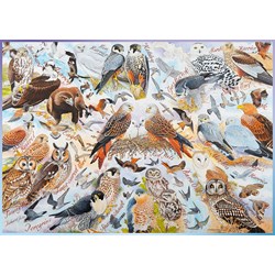 Ravensburger (19559) - "Birds of Prey" - 1000 brikker puslespil
