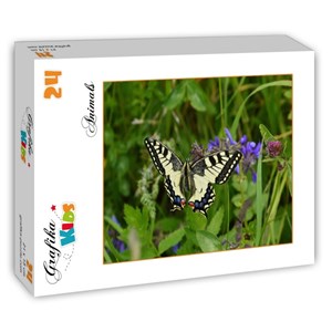 Grafika Kids (01224) - "Butterfly" - 24 brikker puslespil