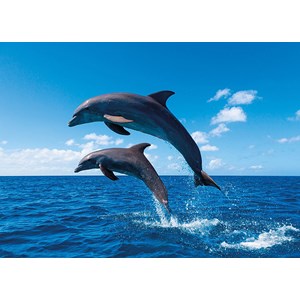 Tactic (53864) - "Dolphin Paradise" - 1000 brikker puslespil