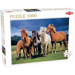 Tactic (53929) - "Camargue Horses" - 1000 brikker puslespil
