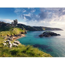 Ravensburger (16626) - "The Green Island" - 2000 brikker puslespil