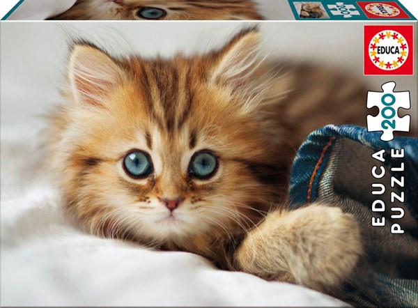 Educa (17154) - "Kitten" - 200 brikker puslespil