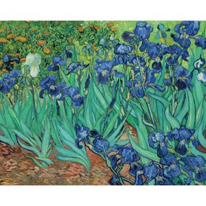 Pomegranate (AA331) - Vincent van Gogh: "Irises" - 1000 brikker puslespil
