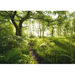 Schmidt Spiele (59382) - Stefan Hefele: "The Enchanted Path" - 1000 brikker puslespil