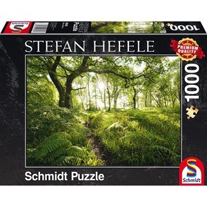 Schmidt Spiele (59382) - Stefan Hefele: "The Enchanted Path" - 1000 brikker puslespil