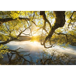 Schmidt Spiele (59383) - Stefan Hefele: "Embrace of Gold" - 1000 brikker puslespil