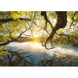 Schmidt Spiele (59383) - Stefan Hefele: "Embrace of Gold" - 1000 brikker puslespil