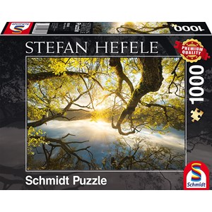 Schmidt Spiele (59383) - Stefan Hefele: "Embrace of Gold" - 1000 brikker puslespil