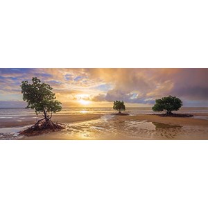 Schmidt Spiele (59394) - Mark Gray: "Cape Tribulation, Daintree national Park, Queensland, Australia" - 1000 brikker puslespil