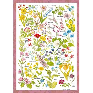 Schmidt Spiele (59566) - "Wild Flowers" - 1000 brikker puslespil