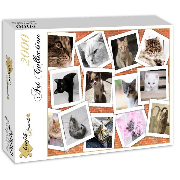 Grafika (02212) - "Cats" - 2000 brikker puslespil