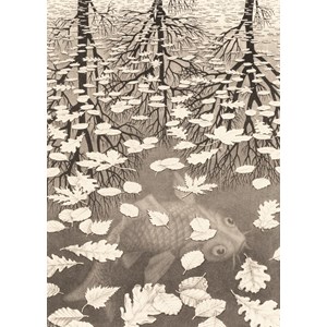 PuzzelMan (861) - M. C. Escher: "Three Worlds" - 1000 brikker puslespil