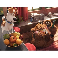 Ravensburger (13674) - "Secret Life of Pets" - 300 brikker puslespil