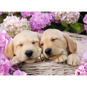 Ravensburger (13235) - "Søde Hunde i Kurv" - 300 brikker puslespil