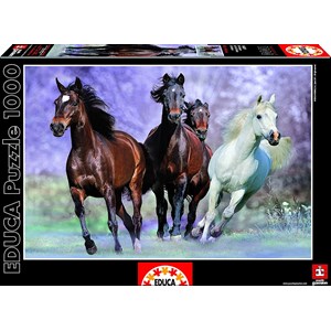 Educa (14809) - "Galloping" - 1000 brikker puslespil