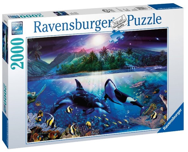 Ravensburger (16661) - "Graceful Killer Whales" - 2000 brikker puslespil